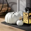 14" Painted Pumpkin Warm White Halloween Decorative Sculpture - Hyde & EEK! Boutique™ 2 14" Painted Pumpkin Warm White Halloween Decorative Sculpture - Hyde & EEK! Boutique™ -Halloween Home Decor Store GUEST 3b2a5f29 ecc8 4098 85f5 cbac1fa0d33d