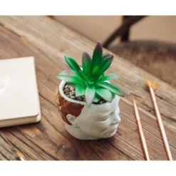 Silver Buffalo Halloween Michael Myers 3-Inch Ceramic Mini Planter With Artificial Succulent 10 Silver Buffalo Halloween Michael Myers 3-Inch Ceramic Mini Planter With Artificial Succulent -Halloween Home Decor Store GUEST 450ec386 2f37 4814 8bfe fe1ac1a5ab49