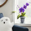 Ghoulish Garden Wild Gorechid Halloween Artificial Plant - Hyde & EEK! Boutique™ -Halloween Home Decor Store GUEST 64e4884b 702f 468f be41 0e1d776c903e
