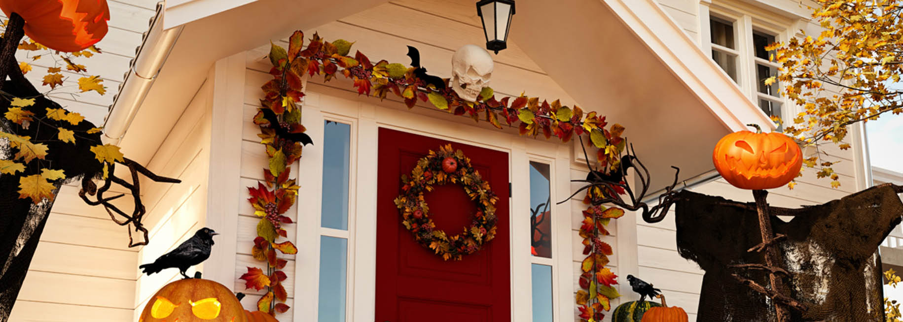 Halloween Home Decor Store -Halloween Home Decor Store dfgdg